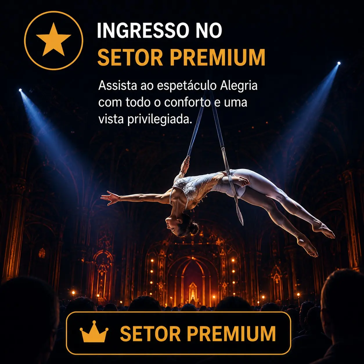 Setor Premium — Cirque du Soleil Alegría